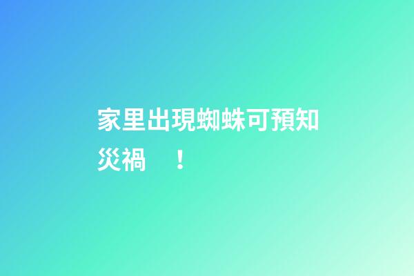 家里出現蜘蛛可預知災禍！